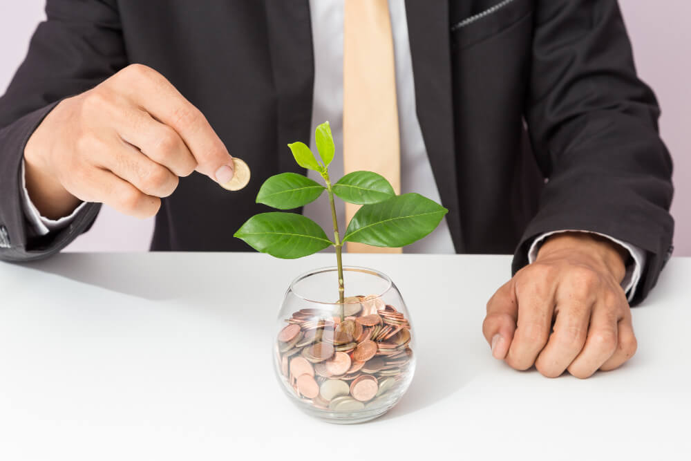 Should I Invest in Cash Flow or Capital Growth?